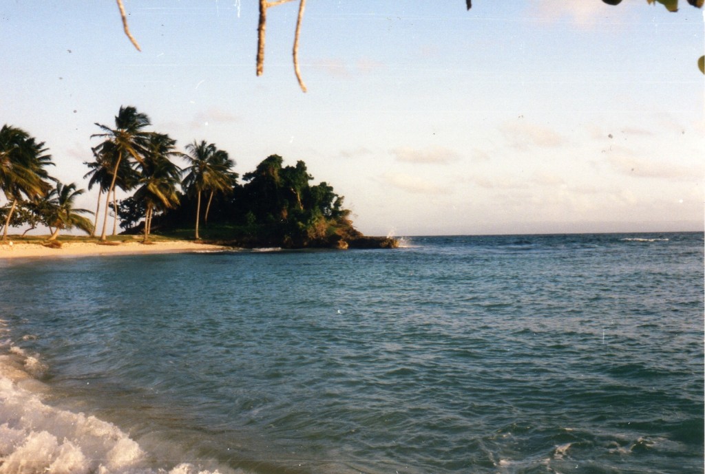 Cayo Levantado_0002.jpg