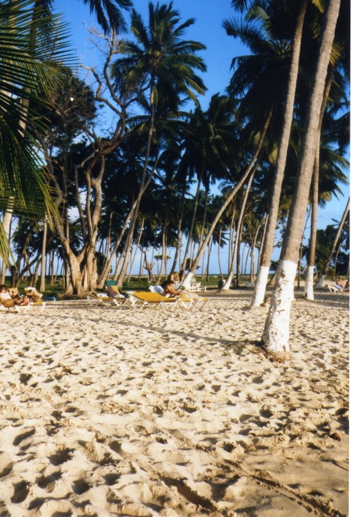 Cayo Levantado_0006.jpg