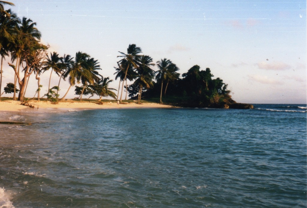 Cayo Levantado_0018.jpg