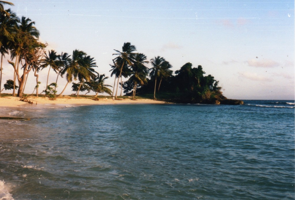 Cayo Levantado_0018.jpg