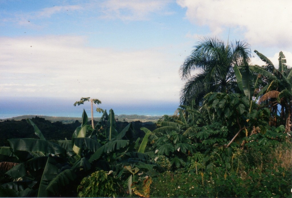 Cayo Levantado_0035.jpg