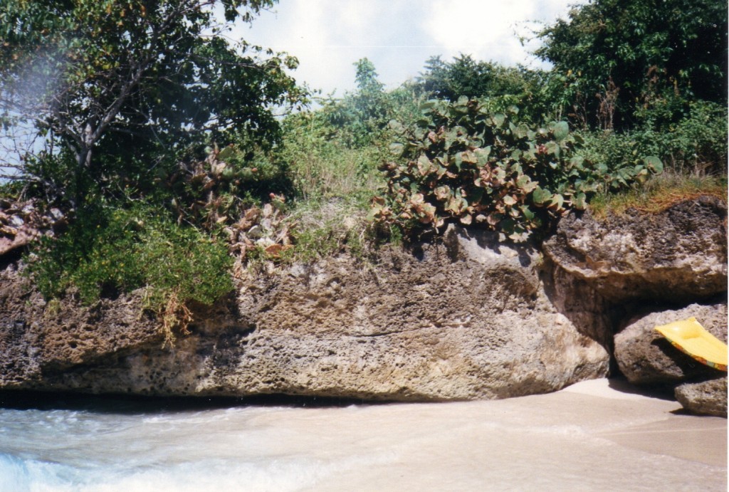 Cayo Levantado_0067.jpg