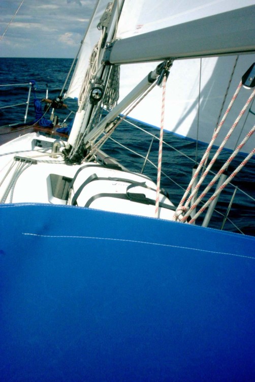 SY-Julius_2001-06-18 14-31-44.jpg