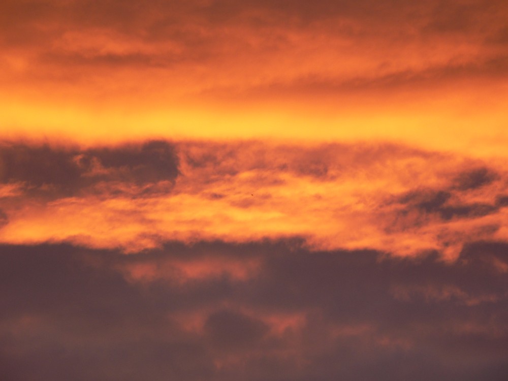 Diepental2010_2010-10-06 07-43-31.jpg