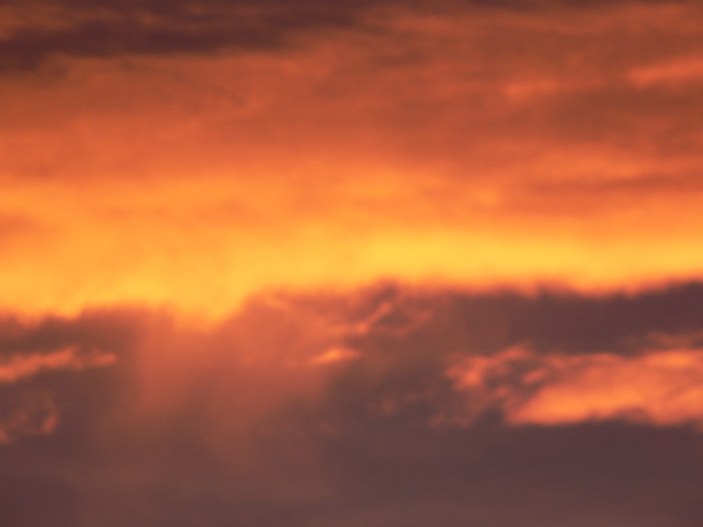 Diepental2010_2010-10-06 07-44-14.jpg