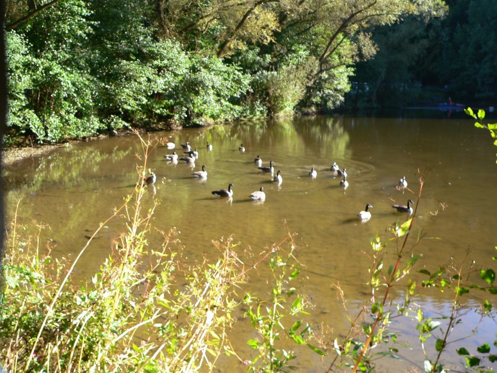 Diepental2010_2010-10-09 16-20-43.jpg