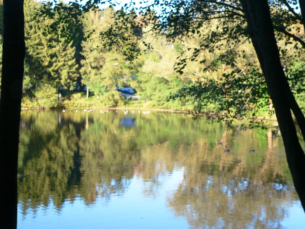 Diepental2010_2010-10-09 17-08-37.jpg