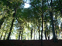 Thumbnail of Diepental2010_2010-10-09 16-45-51.jpg