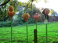 Thumbnail of Diepental2010_2010-10-09 17-04-02.jpg