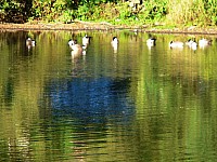 Thumbnail of Diepental2010_2010-10-09 17-08-44.jpg