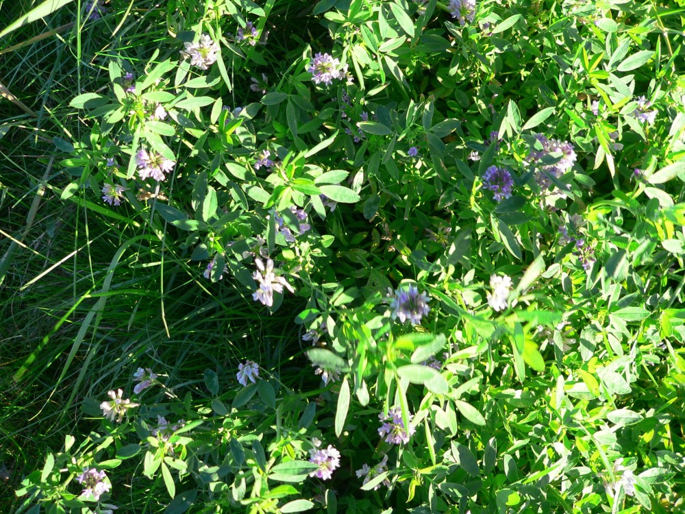 MY Neptunus_2015-09-09 18-04-29.jpg