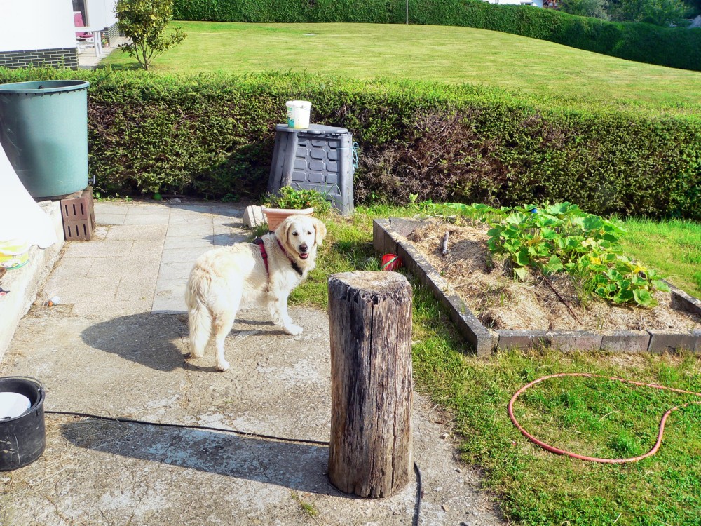 Wilnsdorf_2015-08-07 09-42-08.jpg