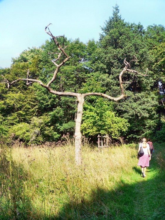 Wilnsdorf_2015-08-07 10-10-27.jpg