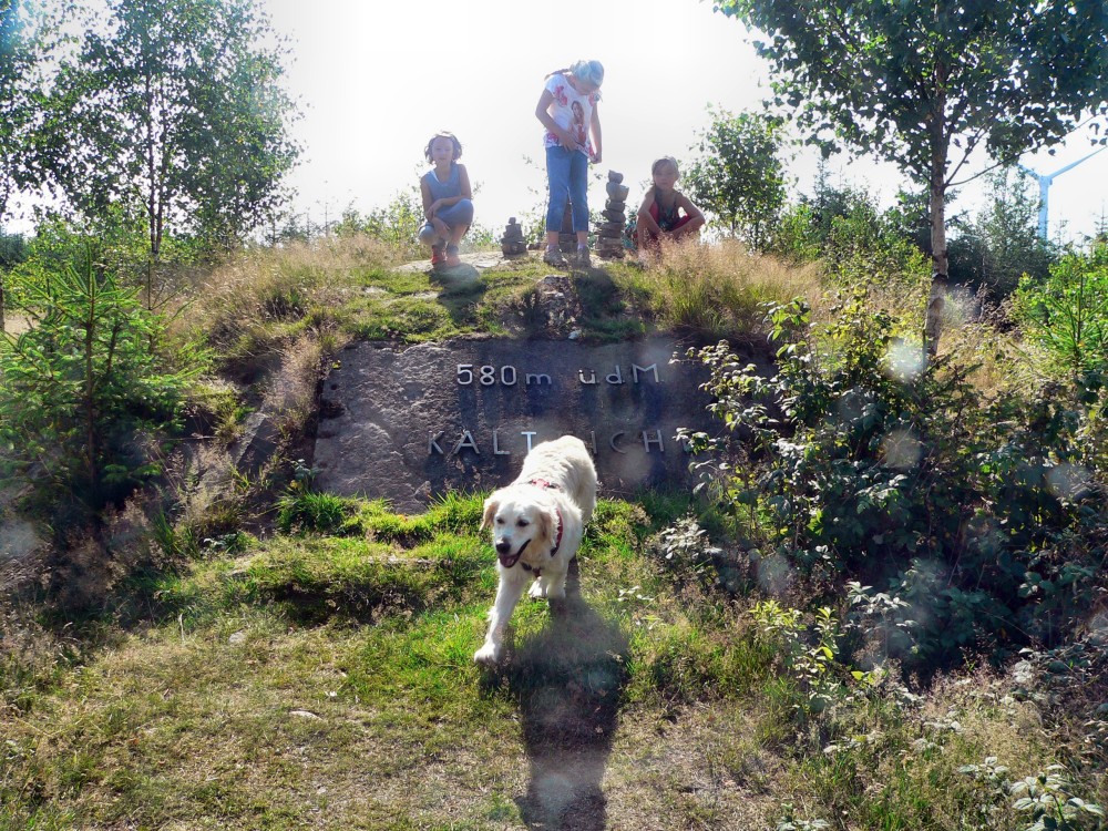 Wilnsdorf_2015-08-07 10-33-29.jpg