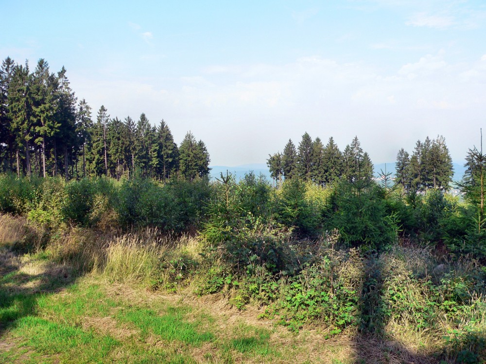 Wilnsdorf_2015-08-07 10-35-04.jpg