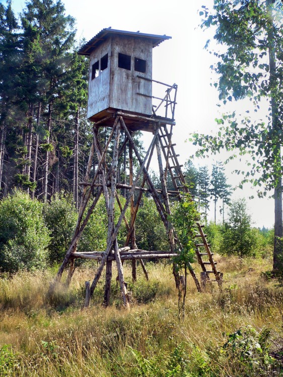 Wilnsdorf_2015-08-07 10-35-49.jpg