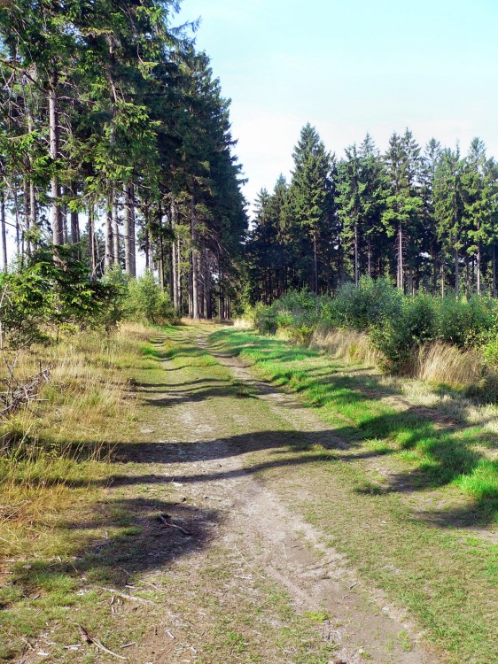 Wilnsdorf_2015-08-07 10-36-04.jpg