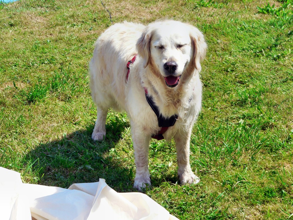 Wilnsdorf_2015-08-07 12-21-58.jpg