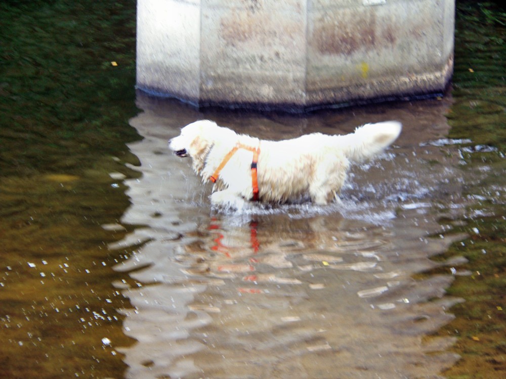 Wilnsdorf_2015-08-09 13-51-00.jpg