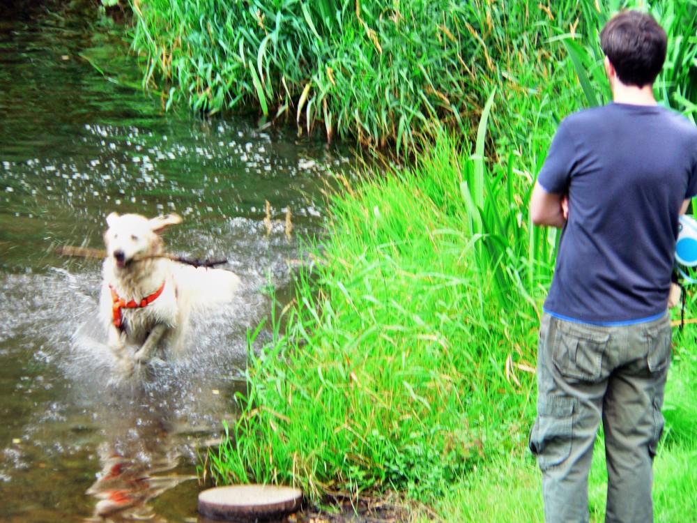 Wilnsdorf_2015-08-09 13-51-19.jpg