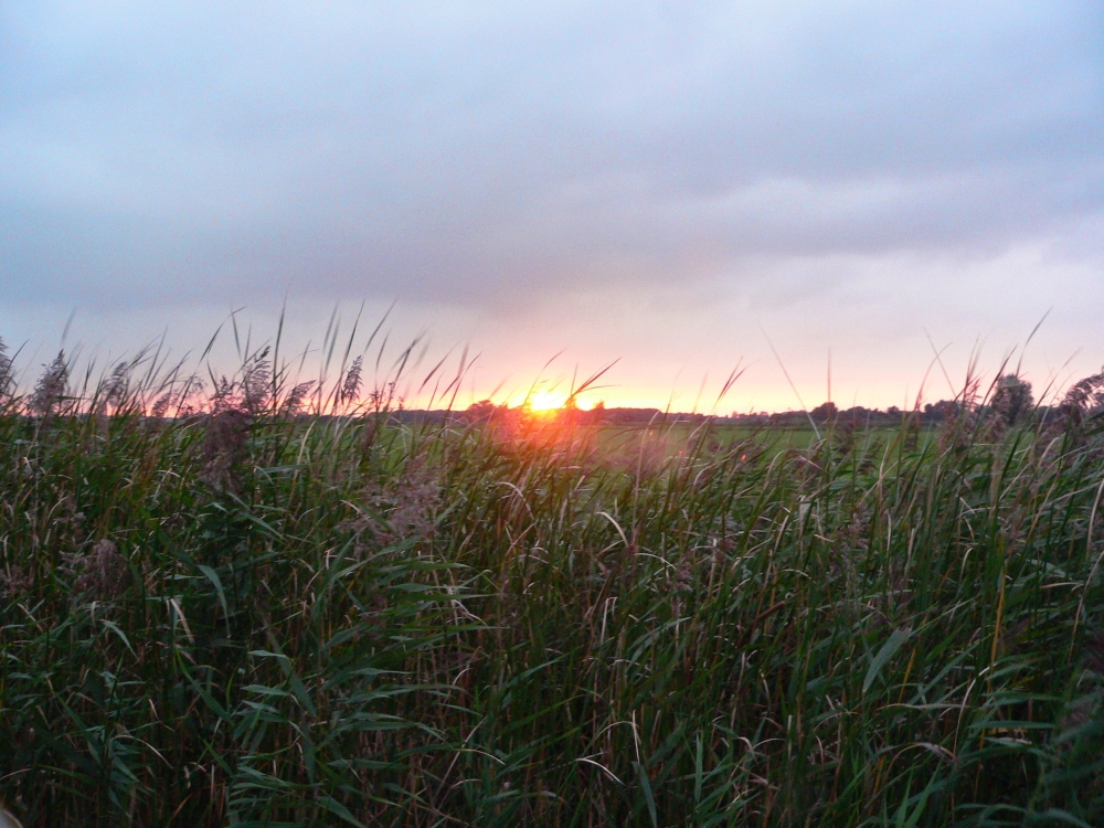 Kopie von MY Boekanier 37_2017-09-05 20-08-43.jpg