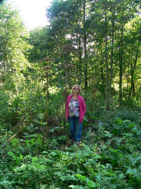 MY Boekanier 37_2017-09-02 13-59-10.jpg