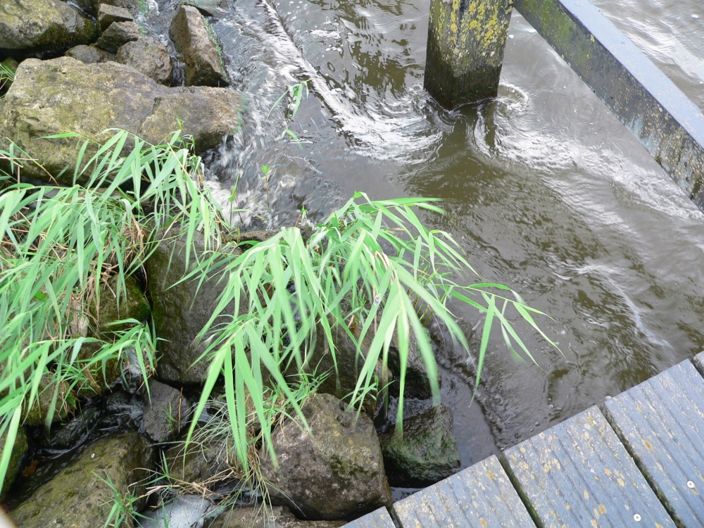 MY Boekanier 37_2017-09-07 12-45-25.jpg